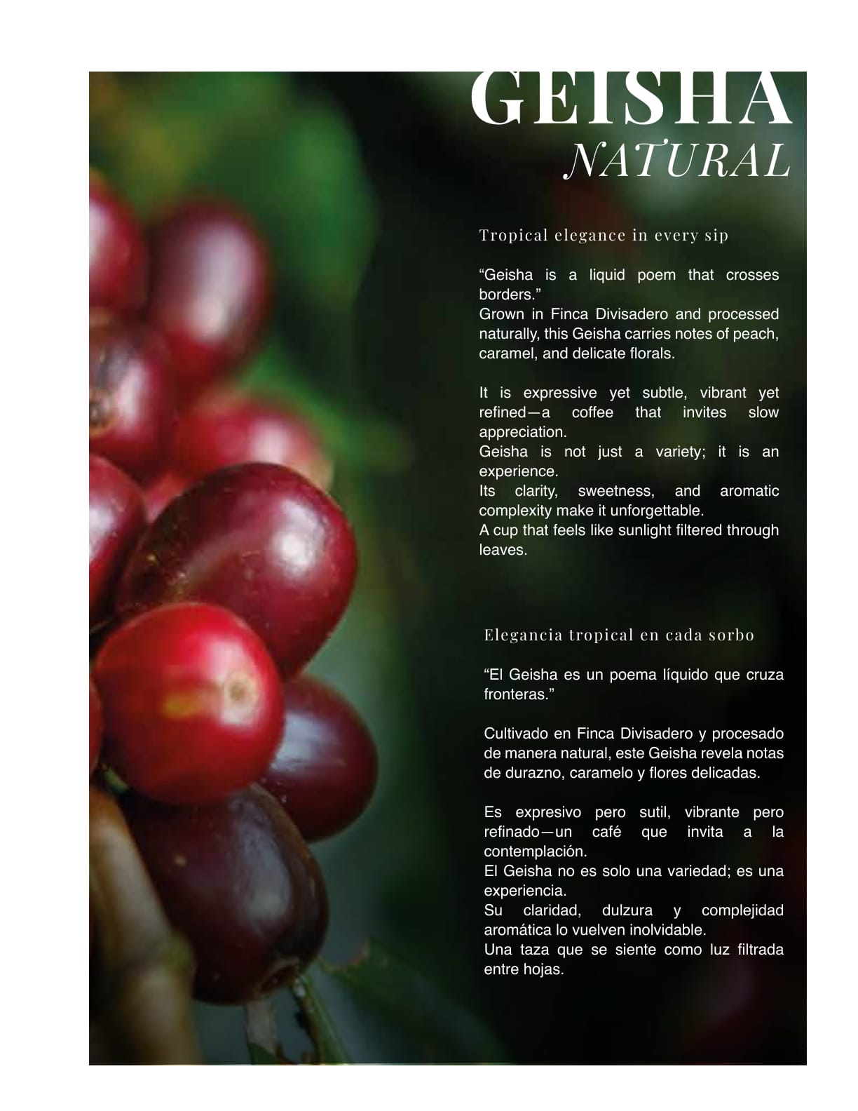 La Ruta Magazine Issue 02 | Specialty Coffee & Cultural Publication - Every Cup, a Journey