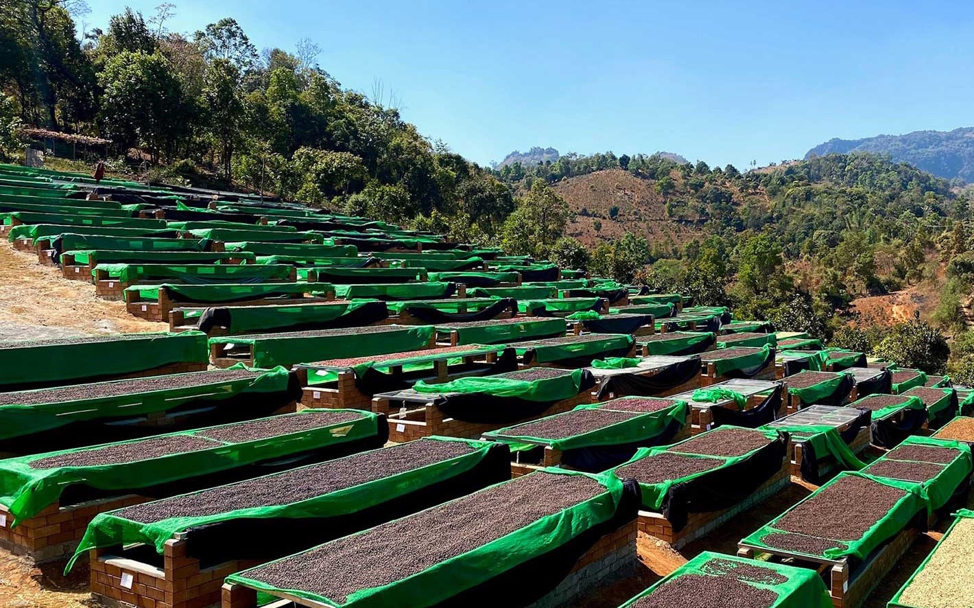 La Ruta – Edición Pacamara SHG · 250g