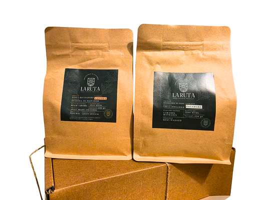 The Brew Bar Selection: Pacamara & Geisha Pair