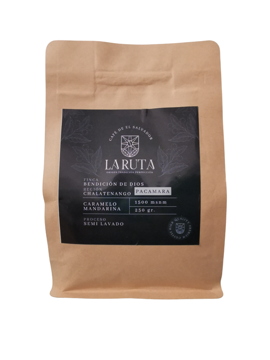 The Native Giant: Pacamara Semi-Washed (250g)