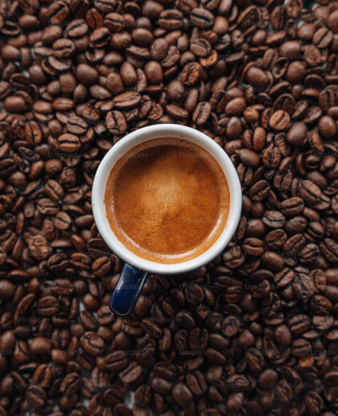 La Ruta – Edición Bourbon SHG · 250